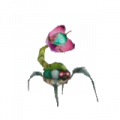 Pink Roach.png